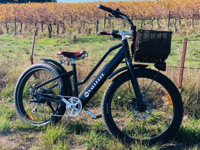 Deluxe Ebike Tours & Hire McLaren Vale