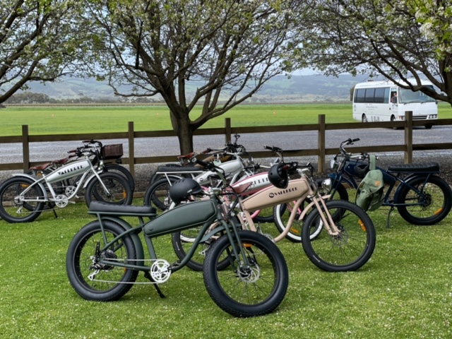 Deluxe Ebike Tours & Hire McLaren Vale