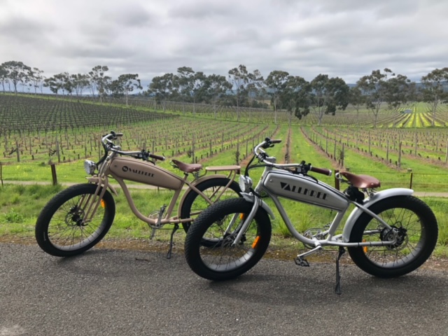 Deluxe Ebike Tours & Hire McLaren Vale